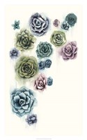 Succulent Cluster II Fine Art Print
