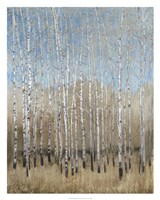 Dusty Blue Birches I Framed Print