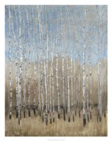 Dusty Blue Birches I Fine Art Print