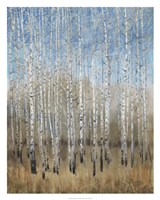 Dusty Blue Birches II Fine Art Print