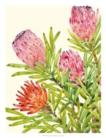 Watercolor Tropical Flowers I Framed Print