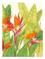 Watercolor Tropical Flowers IV Fine Art Print