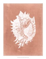 Sealife on Coral VI Fine Art Print