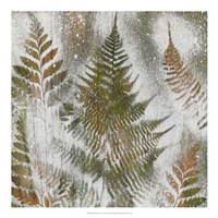 Shenandoah Grove I Fine Art Print