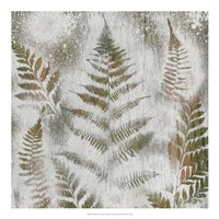 Shenandoah Grove II Fine Art Print