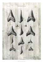 Relic Hunter I Fine Art Print