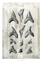 Relic Hunter II Fine Art Print