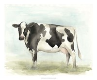 Watercolor Cow II Framed Print