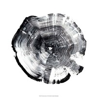 Tree Ring Abstract I Framed Print