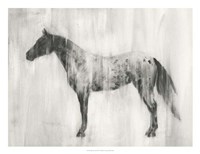 Appaloosa Study II Fine Art Print