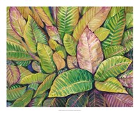 Tropical Close Up I Fine Art Print