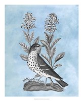 Bird on Blue I Fine Art Print