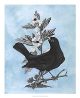 Bird on Blue II Framed Print