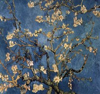 Blossoming Almond Tree, Saint-Remy, c.1890 Detail Fine Art Print