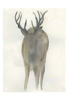 Solo Deer Fine Art Print