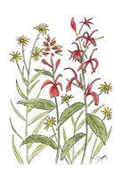 Cardinal Flower Fine Art Print