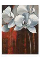 Pearl Orchid I Fine Art Print