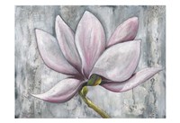 Silken Bloom I Fine Art Print