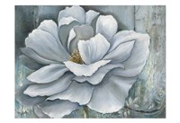 Silken Bloom II Fine Art Print