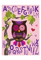 Owl Set Numlet Pinks 1 Fine Art Print
