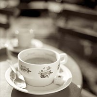 Jardin du Luxembourg II Fine Art Print