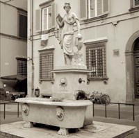 Lucca I Fine Art Print