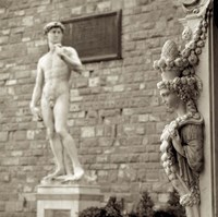 Firenze IV Fine Art Print