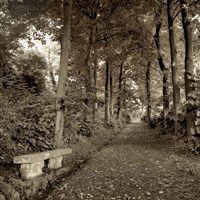 Fiesole Giardini II Fine Art Print