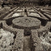 Tuscan Giardini I Fine Art Print