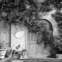 Tuscany VI Fine Art Print