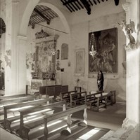 Banogregio I Fine Art Print