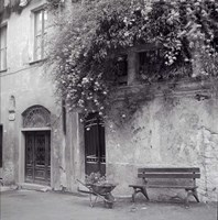 Liguria I Fine Art Print