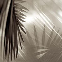 Florison 55 Fine Art Print