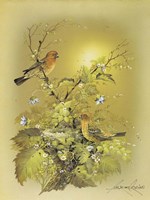 Bird Fine Art Print