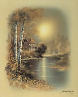 House D Framed Print