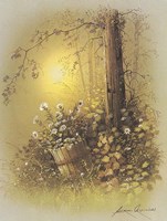 Potted Plant Fine Art Print