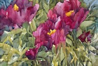 Burgeoning Blossoms Fine Art Print