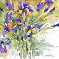 Fiesta Fine Art Print