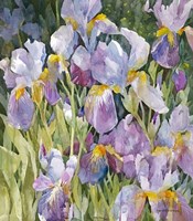 Garden Meeting Fine Art Print