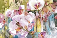 Orchid Oasis Fine Art Print