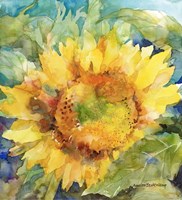Sunshower Fine Art Print