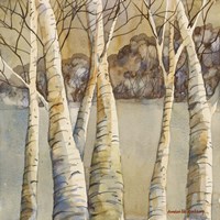 Birch Fine Art Print