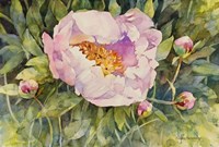 Flowers Fine Art Print