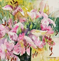 Star Studded Fine Art Print