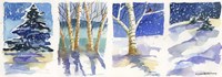 Birch  Quadtych Fine Art Print