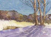 Birch, Turquoise Sky Fine Art Print