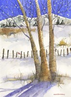 Birch with Cardinal Fine Art Print