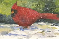 Winter Cardinal Fine Art Print