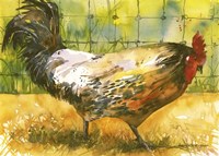 Chicken Fence Fine Art Print