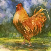 Rooster Field Fine Art Print